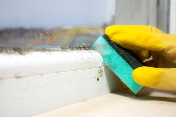 Best Crawl Space Mold Removal  in Oakland, SC